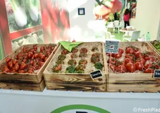 Varietà di pomodoro allo stand Bayer - Seminis - De Ruiter.