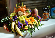 Bella composizione dalla Repubblica Dominicana.