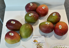 Manghi dalla Colombia.