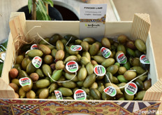 Finger lime Be Fruit.