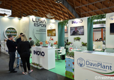 L'area collettiva Lusia Espone.