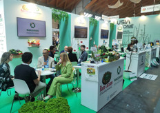 L'area collettiva Lusia Espone.