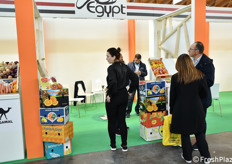 Visitatori nell'area collettiva egiziana.