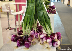 Cipolle Rosse di Tropea.