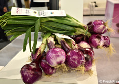 Cipolle Rosse di Tropea.