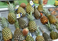 Ananas esposti nello stand cubano.