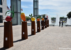 Arrivederci a Macfrut 2024!