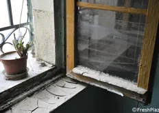 L'acqua arrivata a metà finestra di un piano terra