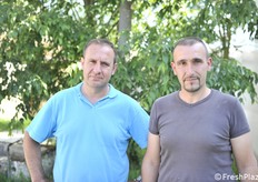 Gianluca e Valerio Balzani di Fratta Terme (Bertinoro, provincia di Forlì-Cesena) sono i titolari di un'azienda con 18 ettari di frutteto. A causa dell'alluvione del 16-17 maggio 2023 hanno perso un pescheto e avuto diversi danni su altri frutteti (fotoservizio Cristiano Riciputi)