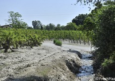 Ancora impraticabile, dopo 7 giorni, parte dell'azienda