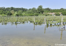 Oltre un metro d'acqua ancora presente 