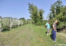 I proprietari guardano sconsolati l'erosione del rio Salso