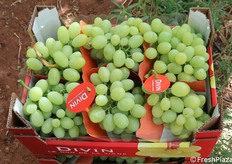 L'incassettamento ha una sua fondamentale importanza