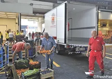 Carico del camion refrigerato della Croce Rossa