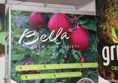 "Bella", new variety club di GRIBA