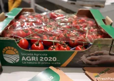 Cassetta di pomodoro dell'Azienda Agri 2020