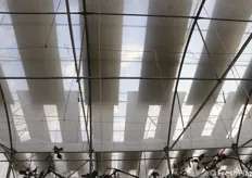 Visti dall'interno della serra: pannelli fotovoltaici monocristallini da 460w cm 114x174