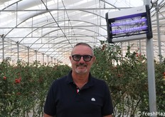 Matteo Baglieri in una serra di pomodoro. Qui la Tuta absoluta viene combattuta, oltre che con i sistemi tradizionali, anche con le zanzariere. D'altra parte il costo energetico per l'azienda è quasi irrisorio.