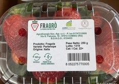 Fragole in vaschetta 