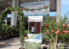 Espositore Vivai Giannoccaro