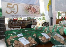 Espositore Fungo Puglia