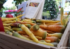 Carote di Polignano a Mare. Espositore Mestagnaz
