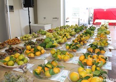 Mostra pomologica sulla biodiversità autunnale curata dall'Istituto CRSFA Basile Caramia di Locorotondo