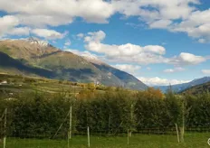 Tra le splendide montagne della Val Venosta, giovedì 26 e venerdì 27 ottobre 2023, VIP-Associazione delle Cooperative Ortofrutticole della Val Venosta ha organizzato un press tour nel "Paradiso delle Mele".