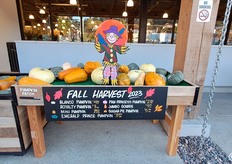 Come appare in autunno l'ingresso dei retail in USA