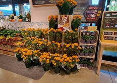 All'ingresso dei retail c'è il reparto ortofrutta che presenta la sua varegata offerta florovivaistica