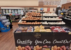 Cipolle, aglio e scalogno