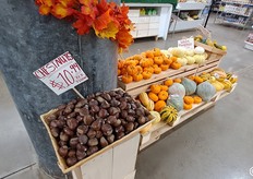 Piccolo angolo dei prodotti autunnali