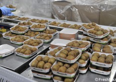 Vaschette pronte ad essere confezionate