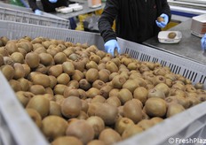 Fase di confezionamento