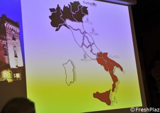 Le dislocazioni territoriali di Fruiimprese nazionale