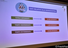 I numeri sulla manodopera