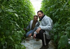 Ospite in serra accompagnato da personale Southern Seed