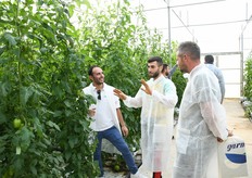 Confronti "sorridenti"