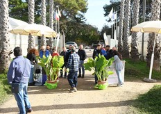 L'accoglienza in azienda