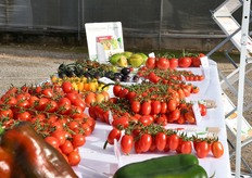 Il banchetto delle "esposizioni"