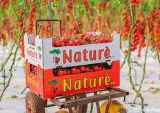 Le cassette Naturé "in campo"