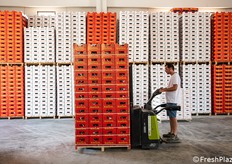 Spostamenti interni al magazzino di pedane di uva di Mazzarrone