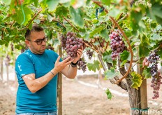 Non vi può essere perfezione senza una verifica costante del prodotto