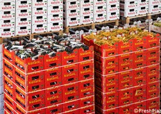 Pedane pronte per la partenza