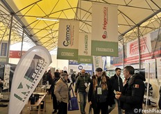 Corridoi pieni già dal primo giorno