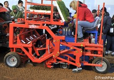 caratteristica della fiera sono le dimostrazioni in campo. qui una trapiantatrice al lavoro