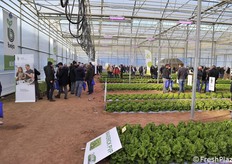 Panoramica dell'area delle ditte sementiere