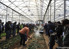 Dopo il passaggio del pirodiserbo