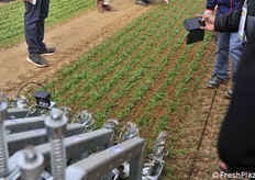 Esempio di sarchiatrice