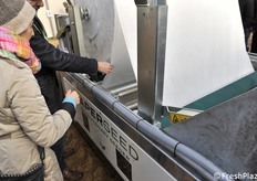 Pacciamatura in carta